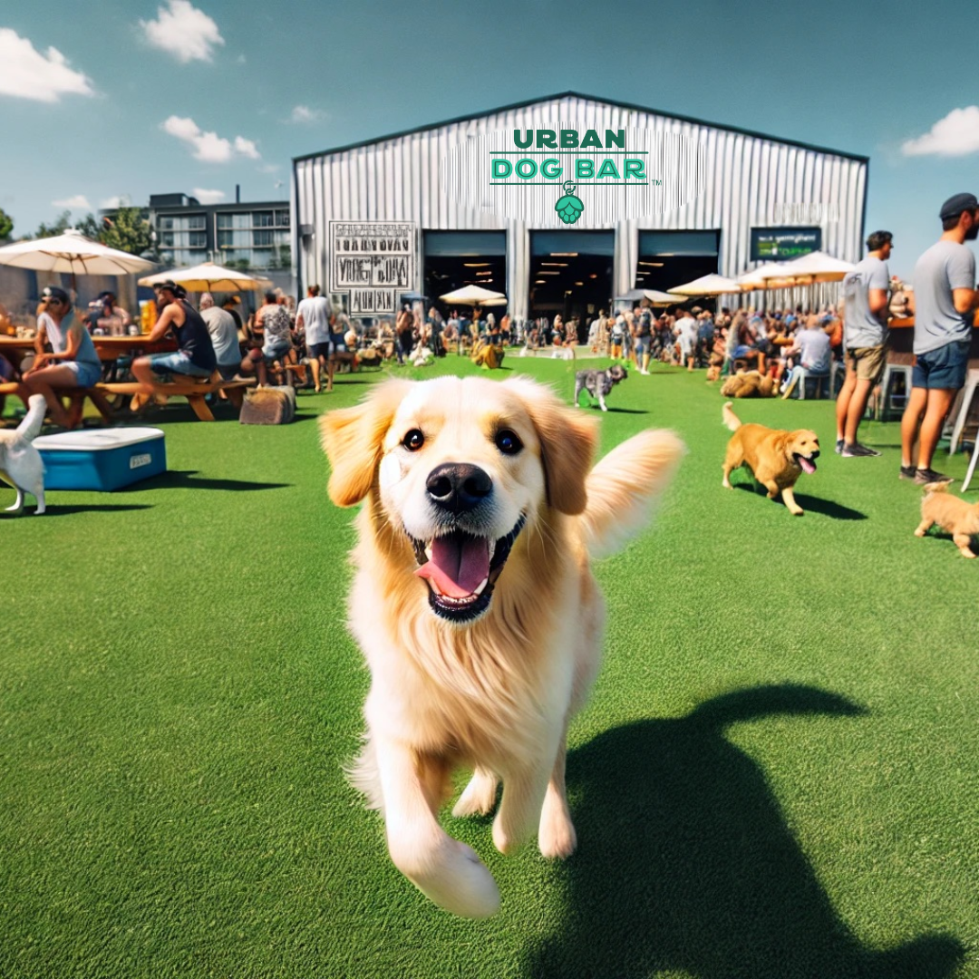 Urban Dog Bar